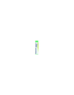 Stramonium 200ch gl - BOIRON | Clubfarma