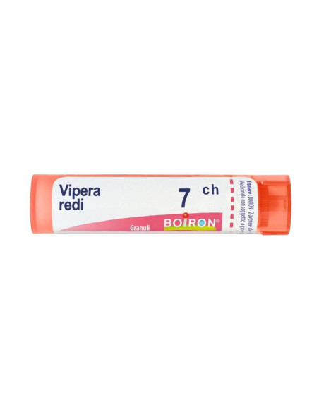 Vipera redi 7ch gr