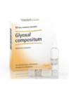 Heel glyoxal compostium 10 fiale da 2,2 ml l'una