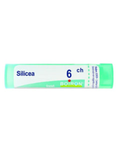 Silicea 6ch gr