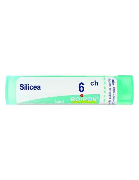 Silicea 6ch gr