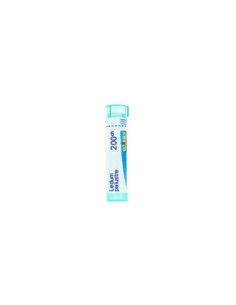 Ledum palustre 200ch gr