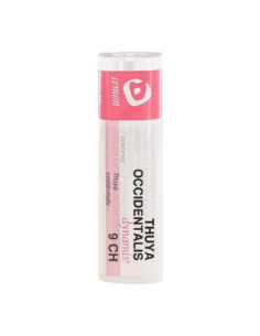 Thuya occident 9ch gr