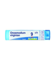 Onosmodium virg 9ch gr