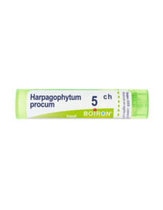 Harpagophytum procum 5ch gr