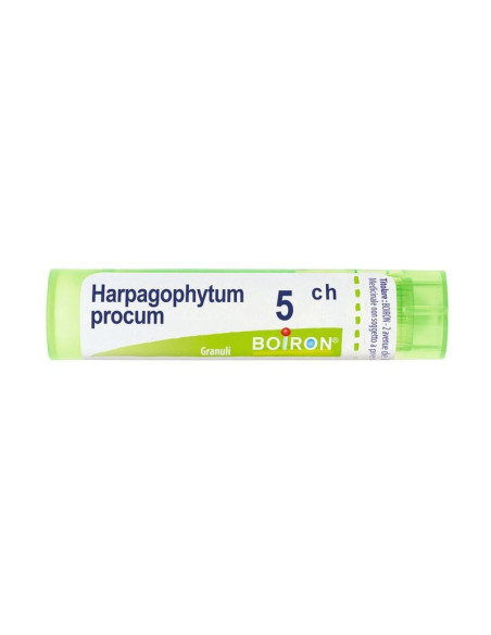 Harpagophytum procum 5ch gr