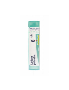 Ledum palustre 6ch gr