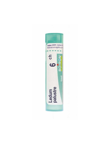 Ledum palustre 6ch gr