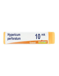 Hypericum perfor xmk gl