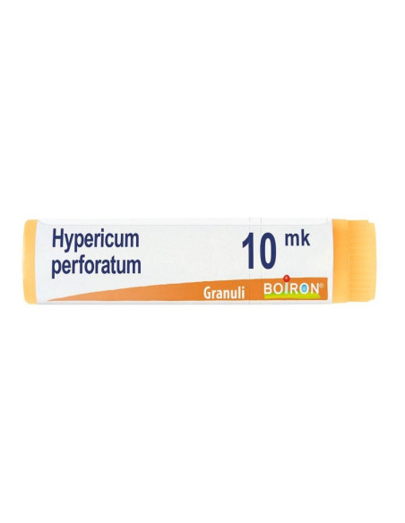 Hypericum perfor xmk gl