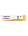 Hypericum perfor xmk gl