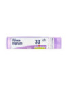 Ribes nigrum 30ch gr