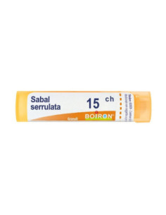 Sabal serrulata 15ch gr