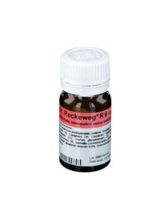 Reckeweg r6 100 compresse 0,1g | Clubfarma