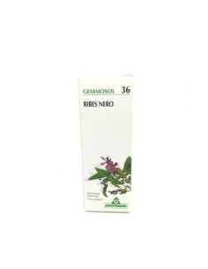 Gemmosol 36 ribes nero 100ml - SPECCHIASOL | Clubfarma