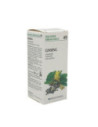 Ginseng 49 50ml tm