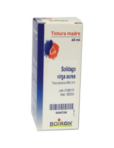 Solidago virga aurea 60ml tm