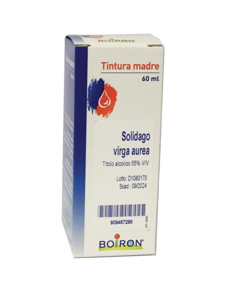 Solidago virga aurea 60ml tm