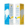 Saniderm sun medusa m fp15 100