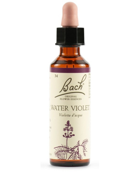 Water viol bach orig 20ml