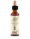 Water viol bach orig 20ml