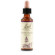 Water viol bach orig 20ml