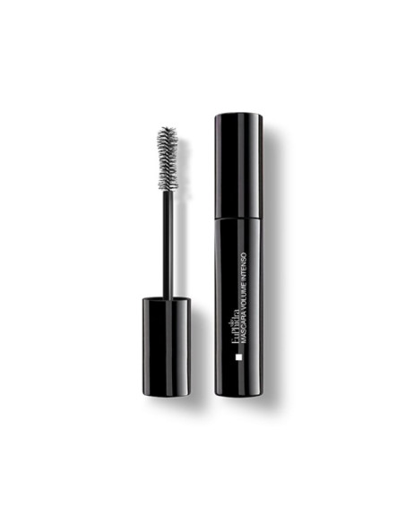 Euphidra mascara nero vol int