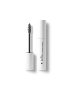 Euphidra mascara nero vol str