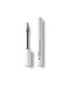 Euphidra mascara nero vol wpr