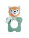 Ch massaggia panda rosso