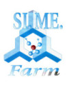 Ledum smf spray lozione 100ml