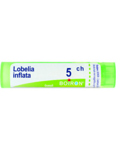Lobelia inflata 5ch 80gr 4g
