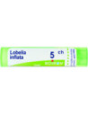 Lobelia inflata 5ch 80gr 4g