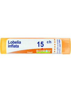 Lobelia inflata 15ch 80gr 4g