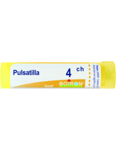 Pulsatilla 4ch 80gr 4g