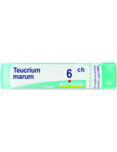 Teucrium marum 6ch 80gr 4g