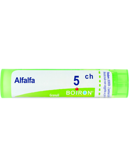 Alfalfa medicago 5ch gr
