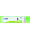Alfalfa medicago 5ch gr