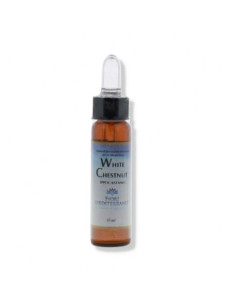 White chestnut fiori mediterra | Clubfarma
