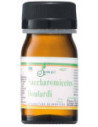 Saccharomicetes boulardii30cps
