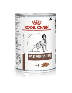Vhn w dog gastro int ad 400g