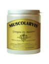 Muscolarvis polvere 500g