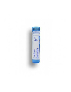Ledum palustre 9ch gl