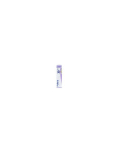 Pollens 30 ch globuli