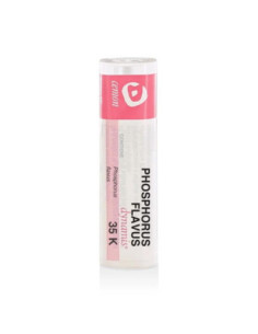 Phosphorus flavus 6ch gr