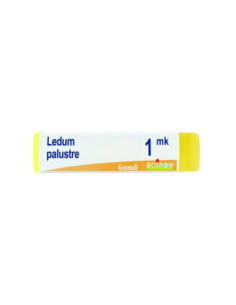 Ledum palustre mk globuli