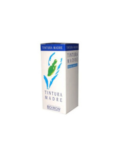 Lavandula vera 60ml tm