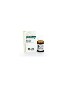 QUINTESSENZA MELISSA 10ML