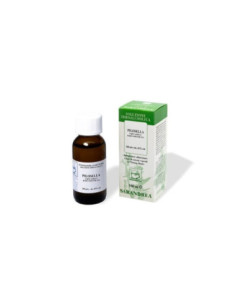 PILOSELLA 100ML GOCCE