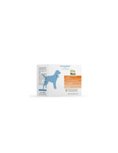 Digea f medium 20 bustine 4g - DYNAMOPET | Clubfarma